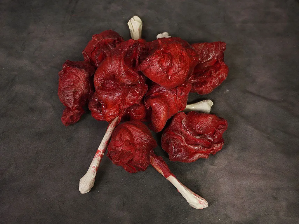 10 Pcs Assorted Meat Bones and Mutilation Chunks