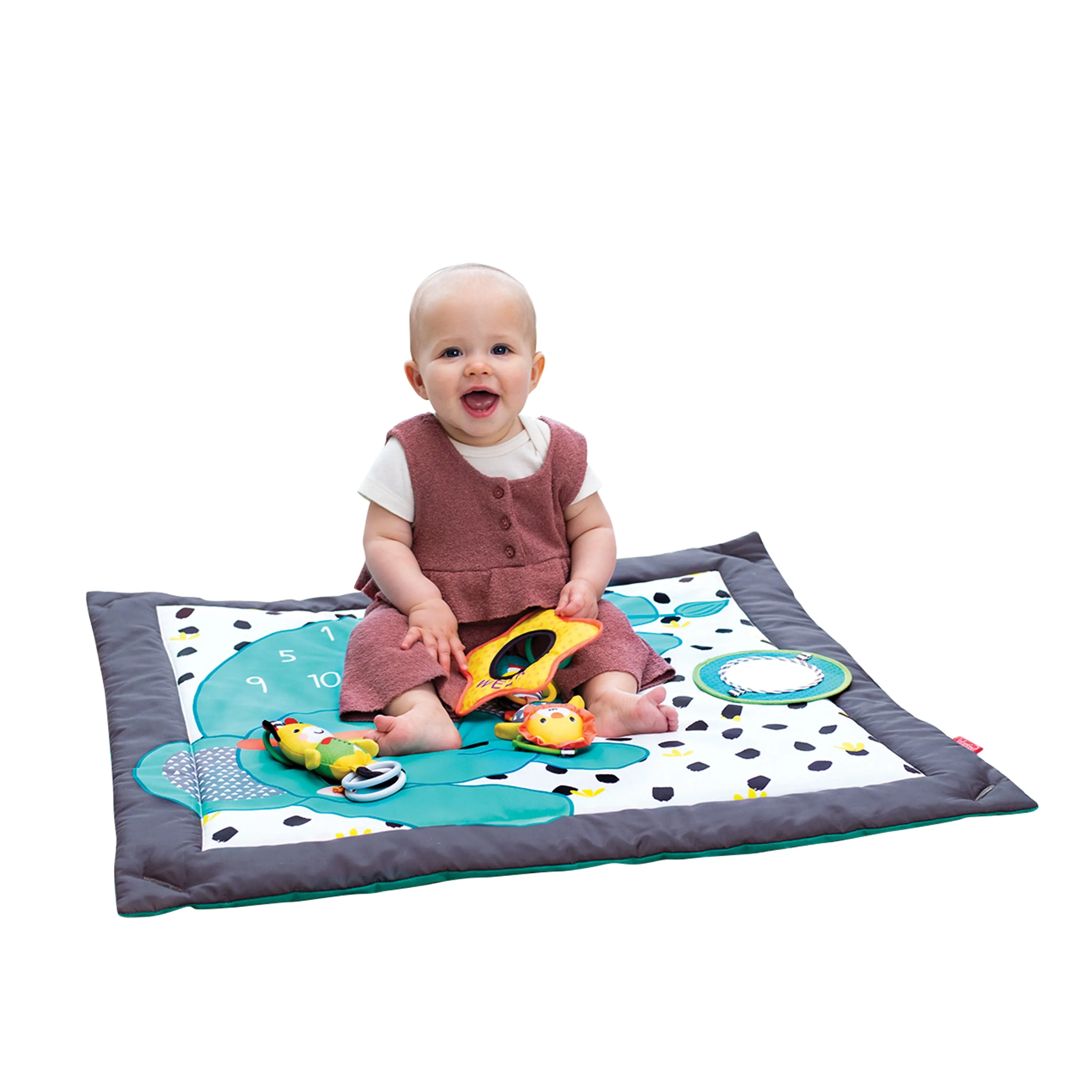 4-in-1 Milestones & Memories Twist & Fold Gym™