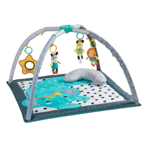 4-in-1 Milestones & Memories Twist & Fold Gym™