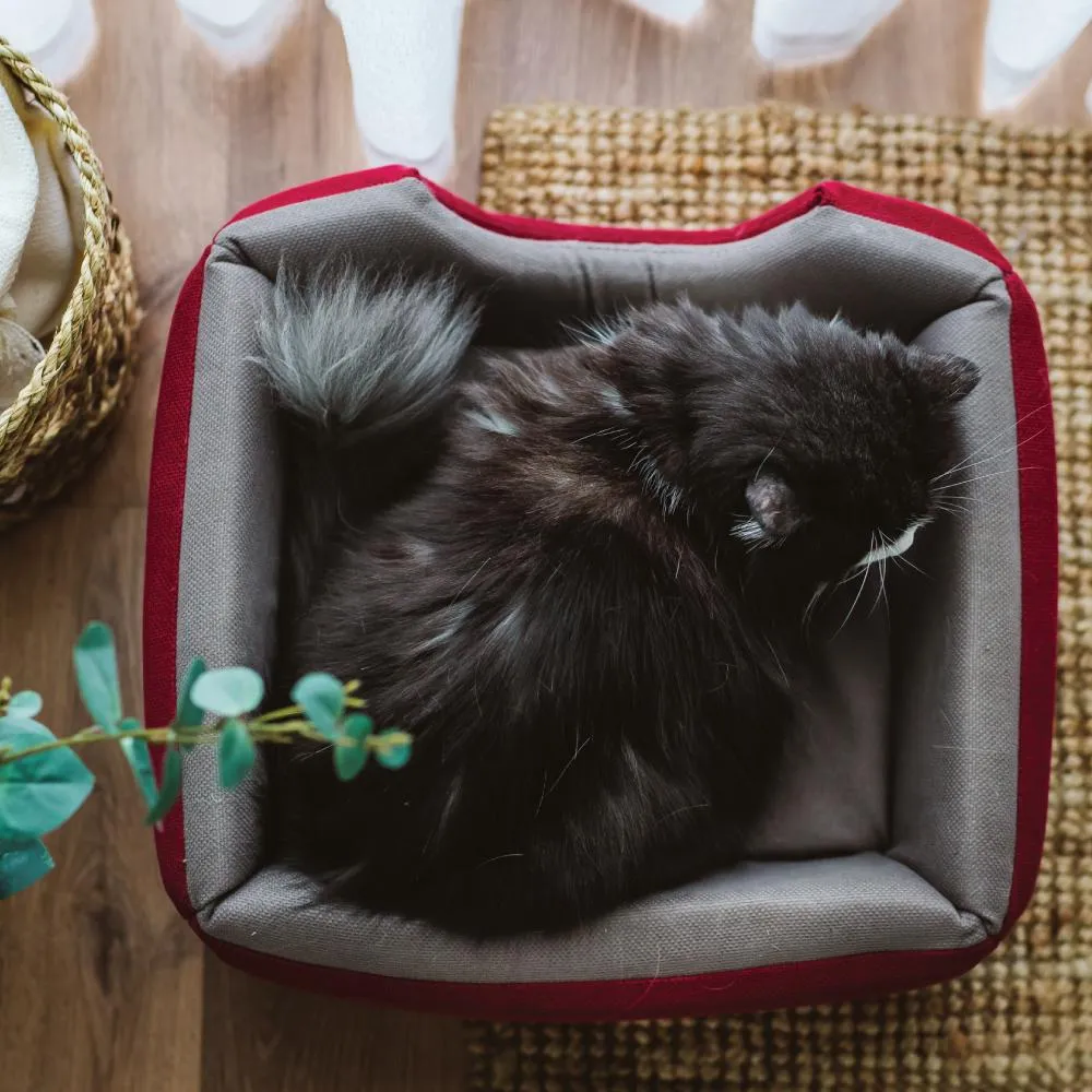 Bumble Bee Bed For Pets