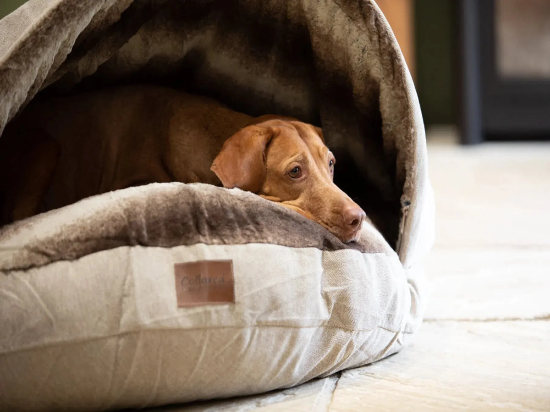 Cave Bed Replacement Outer Cover with removable hood