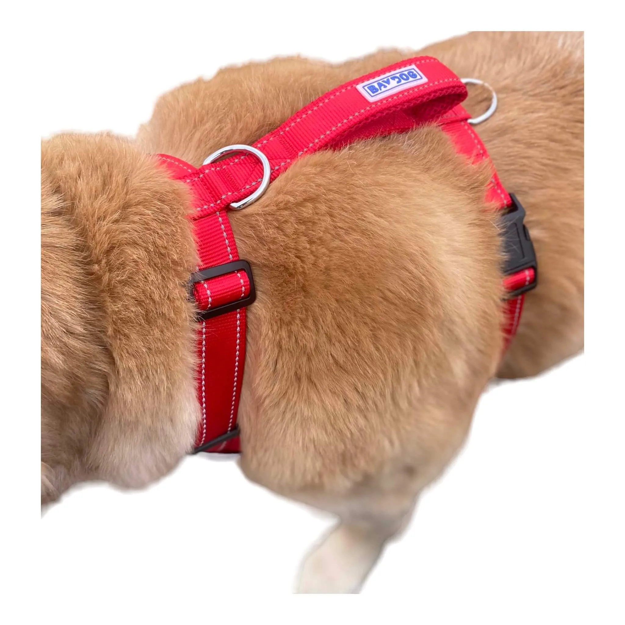 Chesapeake Dog Harness