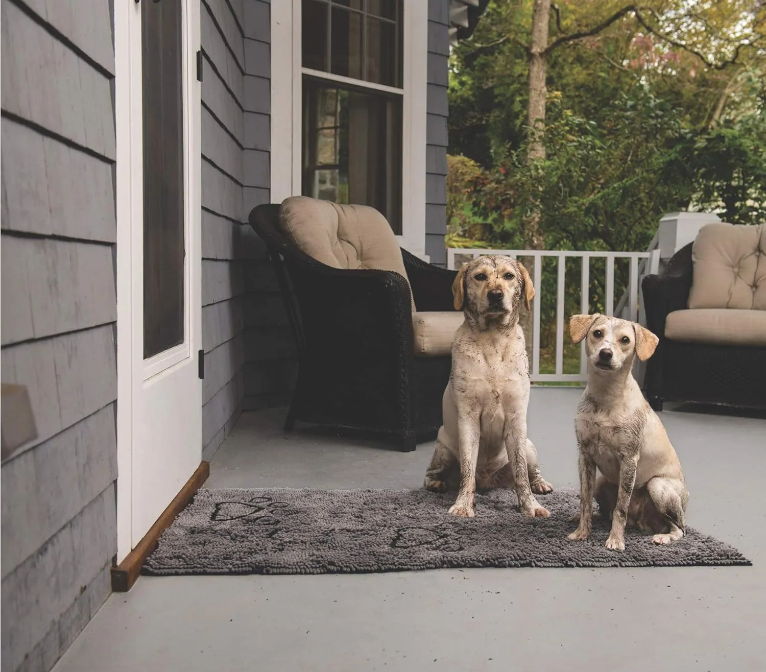 Dirty Dog Door Mat