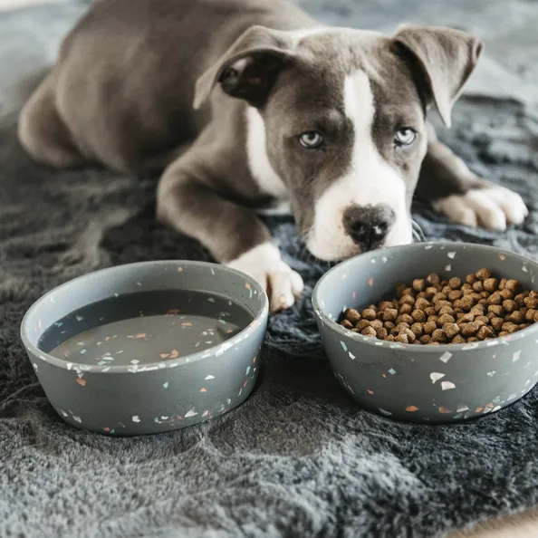 Dog Bowl Bamboo Terrazzo Small