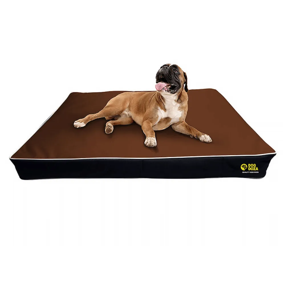 Dog Doza 5" Memory Foam Dog Mattress