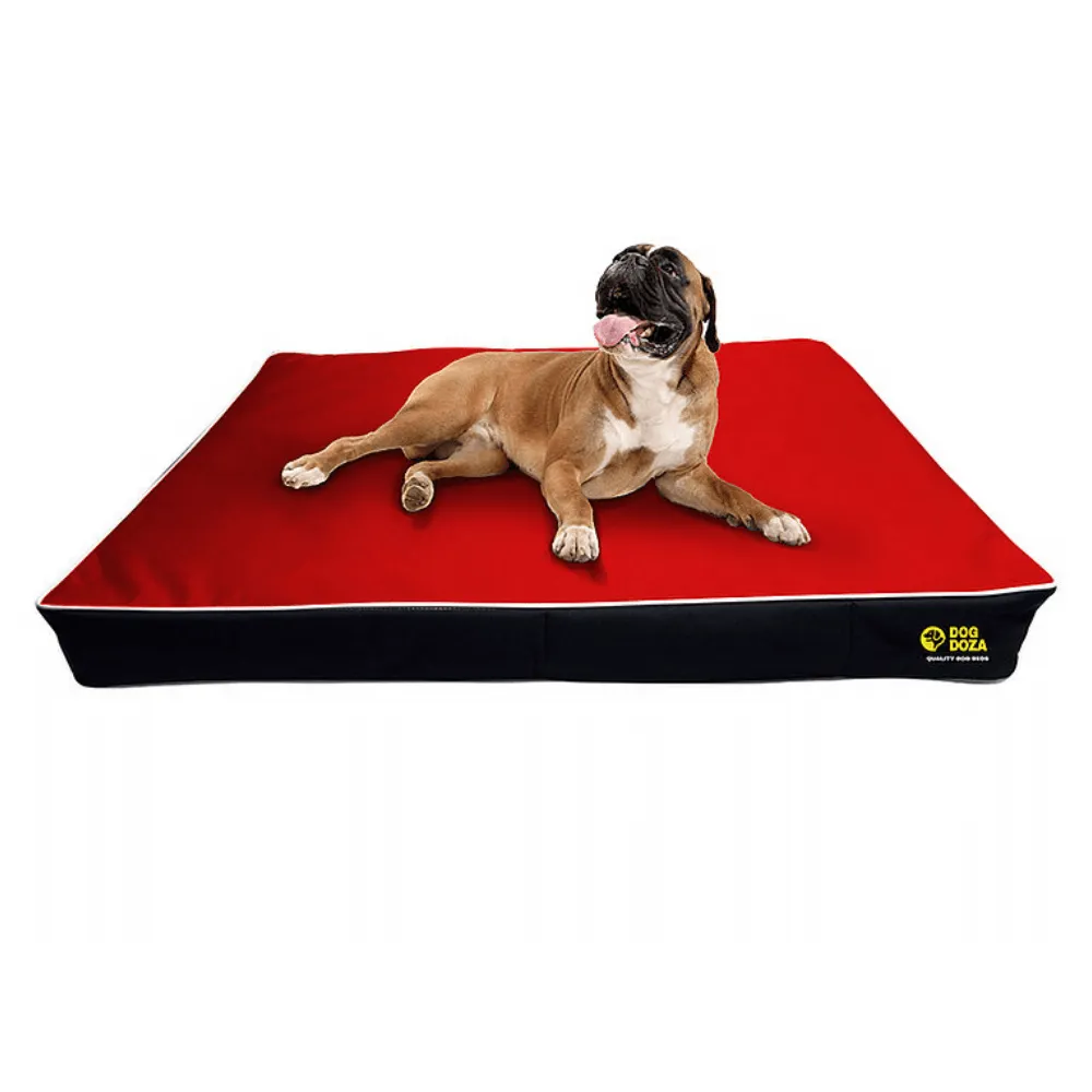 Dog Doza 5" Memory Foam Dog Mattress