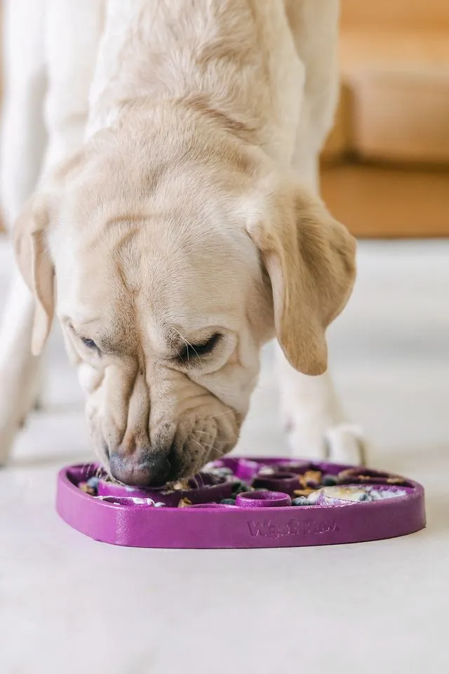 Dog Food and Drink Non-slip Eco Sustainable All-in-One Slow Feeder Lick Feast Mat: Tropic Red