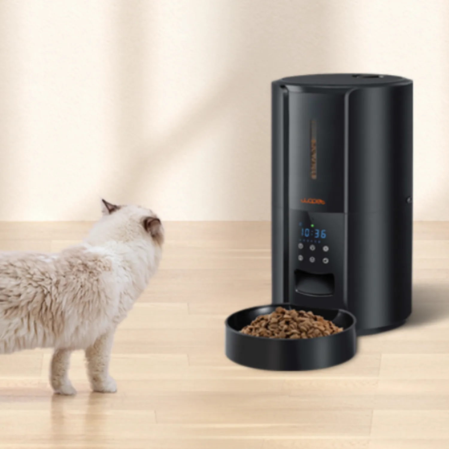 Exclusive Large Automatic Dog Cat Time Pet Food Feeder Dispenser