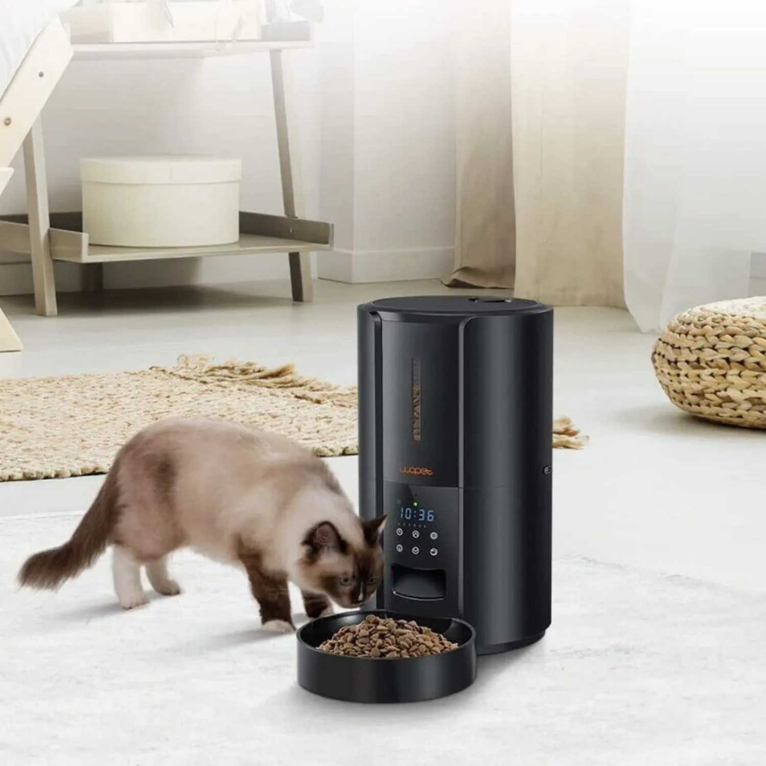 Exclusive Large Automatic Dog Cat Time Pet Food Feeder Dispenser