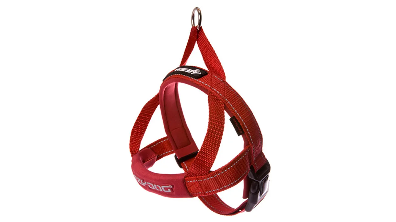 EzyDog Quick Fit Harness Red