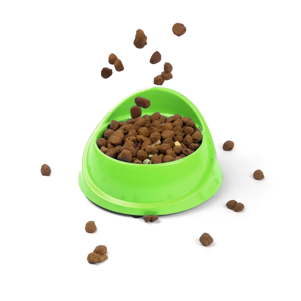 M Pets Single Fashion Diner Bowl for Dogs and Cats (Green)