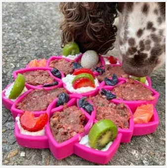 MANDALA ETRAY - ENRICHMENT TRAYS FOR DOGS - Multiply Colors Soda Pup