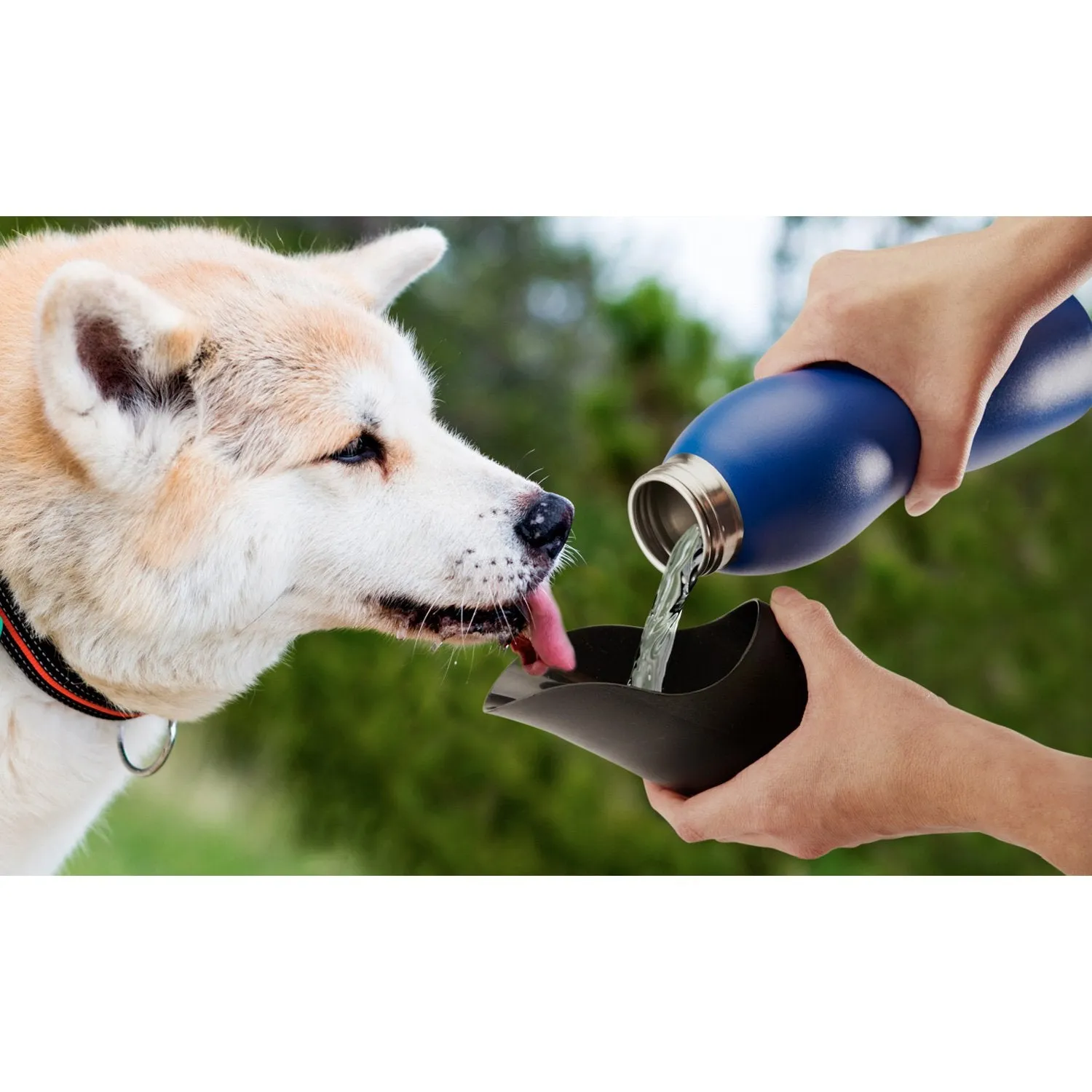 Mobile Dog Gear 25 Oz Water Bottle