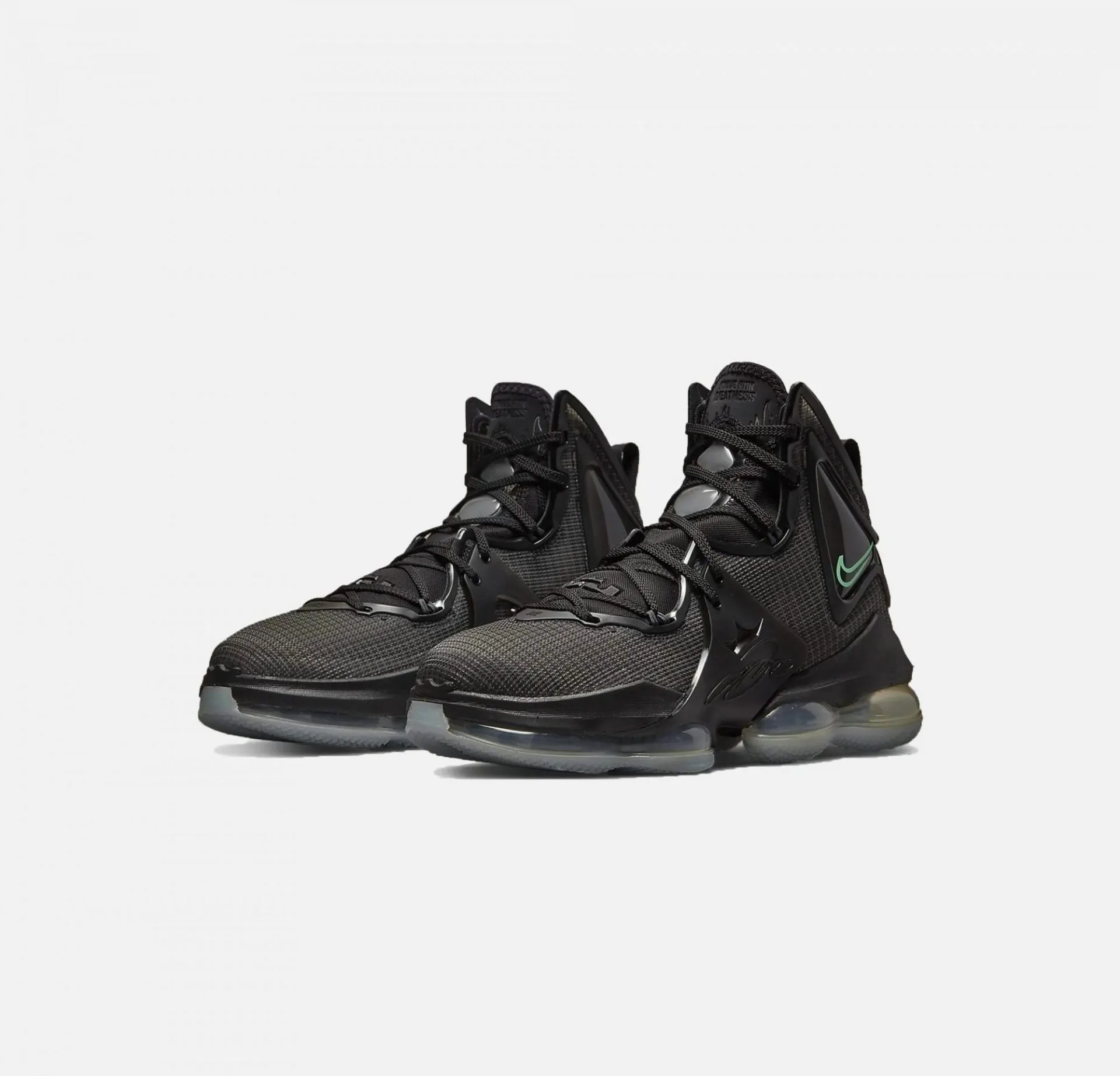 Nike | LEBRON 19  { ANTHRACITE / GREEN GLOW