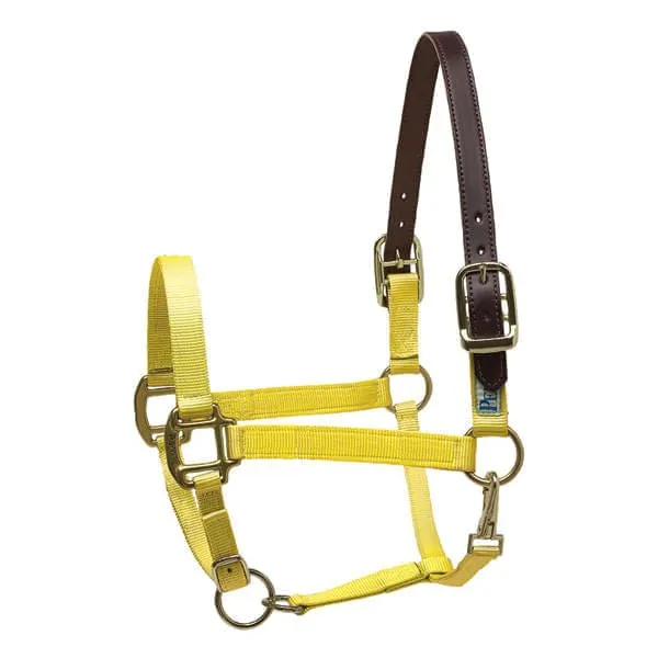 Perri's Nylon Breakaway Halter, Cob Size