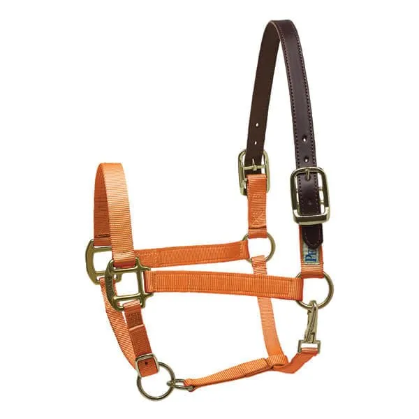 Perri's Nylon Breakaway Halter, Cob Size