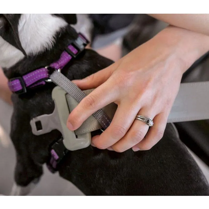 PetSafe 3 in 1 Multi-Function, No-Pull Harness Plus Car Control!