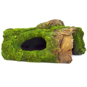 Repti Gear Trunk with Moss Cave for Reptiles