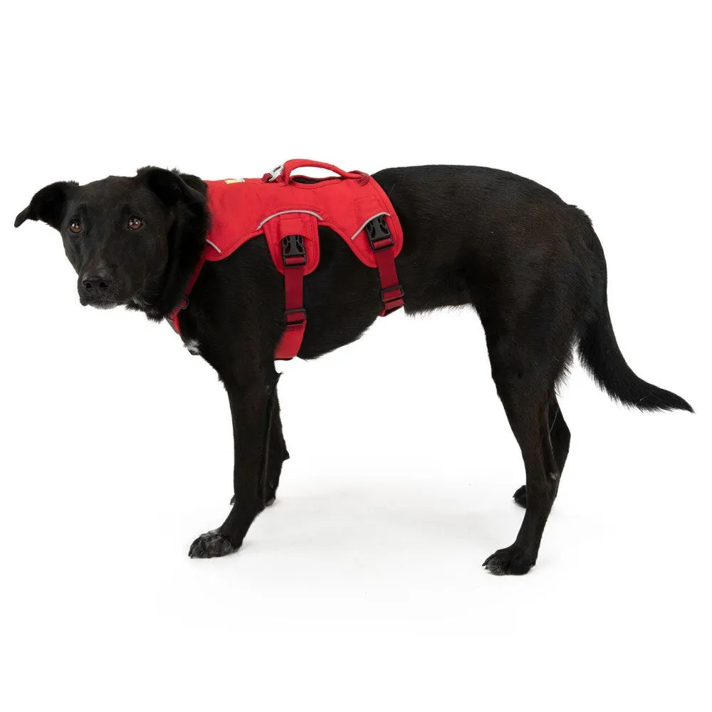 Ruffwear Web Master Secure Multi-Function Handled Dog Harness (Red Currant)