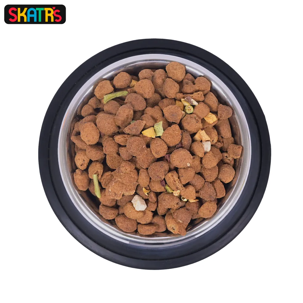 Skatrs Anti Skid Stainless Steel Bowl for Dogs and Cats (1400mL)