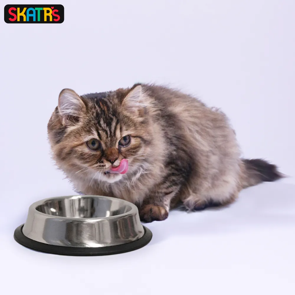 Skatrs Anti Skid Stainless Steel Bowl for Dogs and Cats (1400mL)