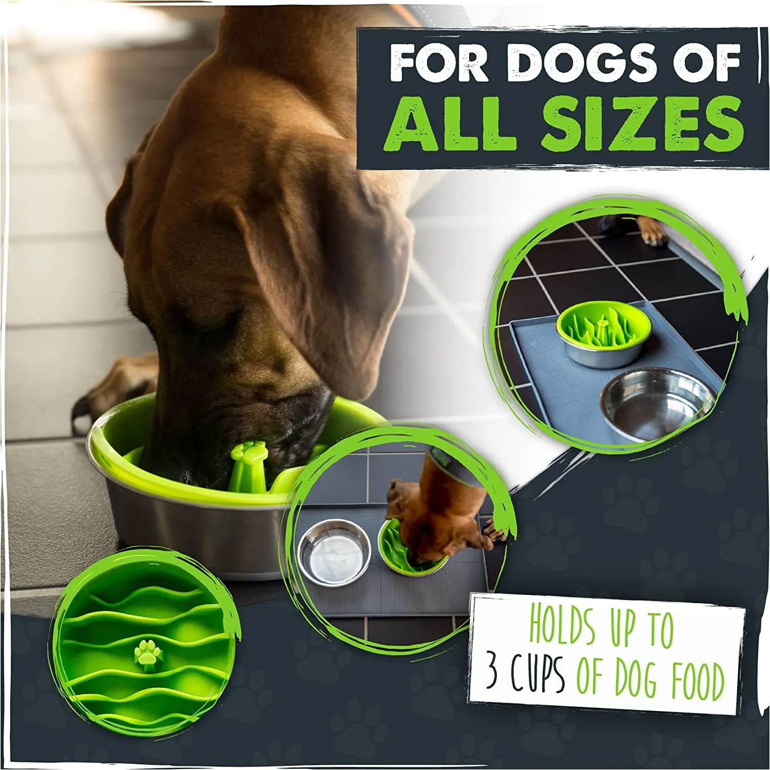 Slow Feed Dog Bowl - Holds 3 Cups, BPA-Free & Dishwasher Safe