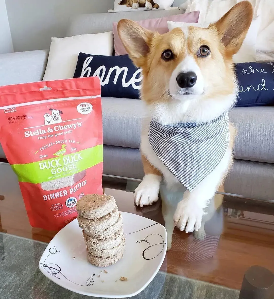 Stella & Chewy's Freeze-Dried Patties - Duck, Duck, Goose Recipe