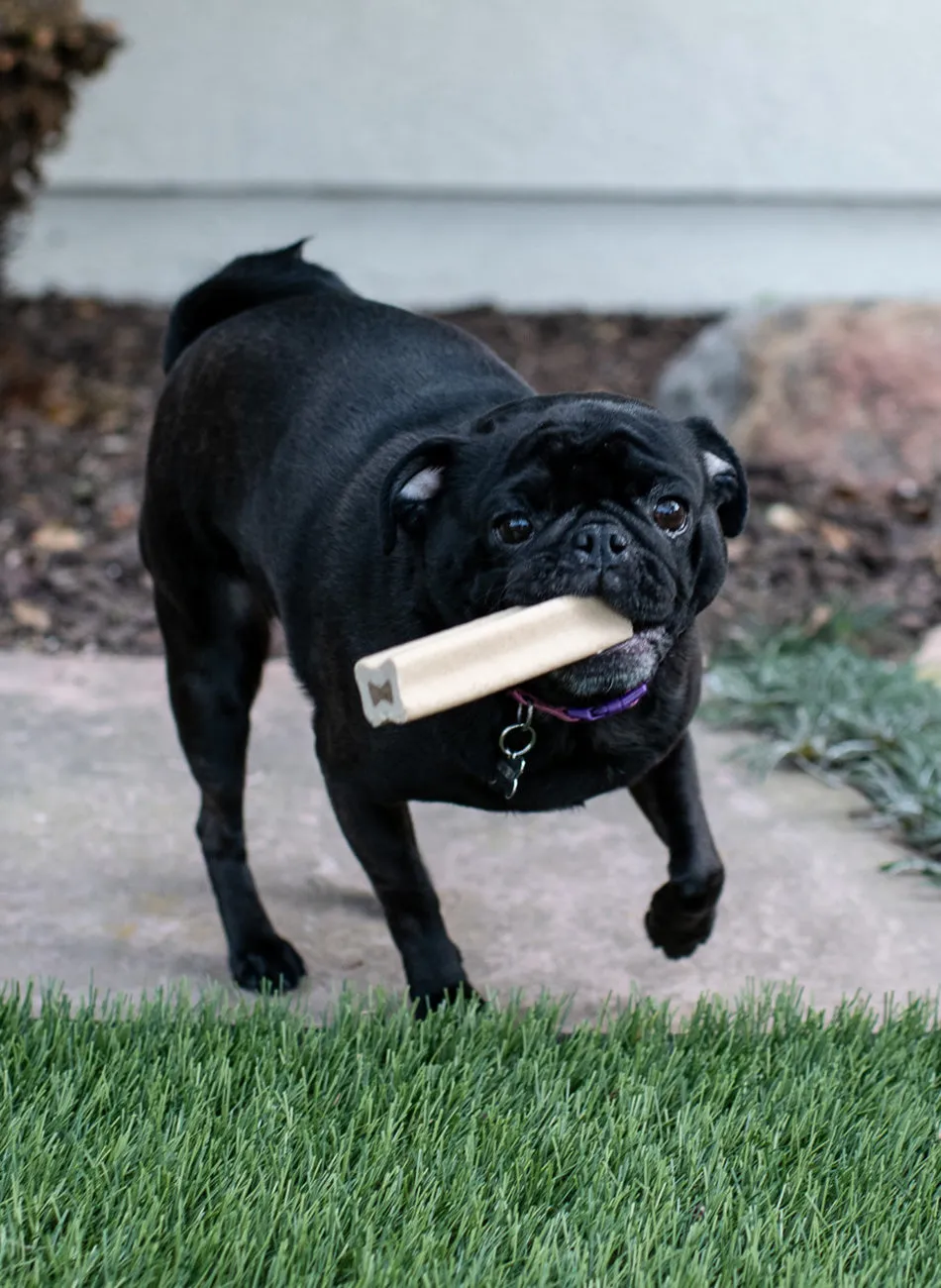 Stuffed Bones With Real Peanut Butter Bundle (Large Dog)