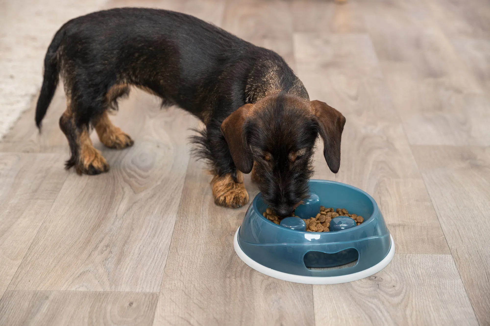 Trixie Slow Feed No Gulp Bowl