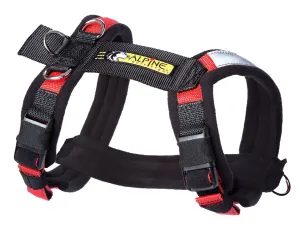 URBAN TRAIL® ADJUSTABLE HARNESS